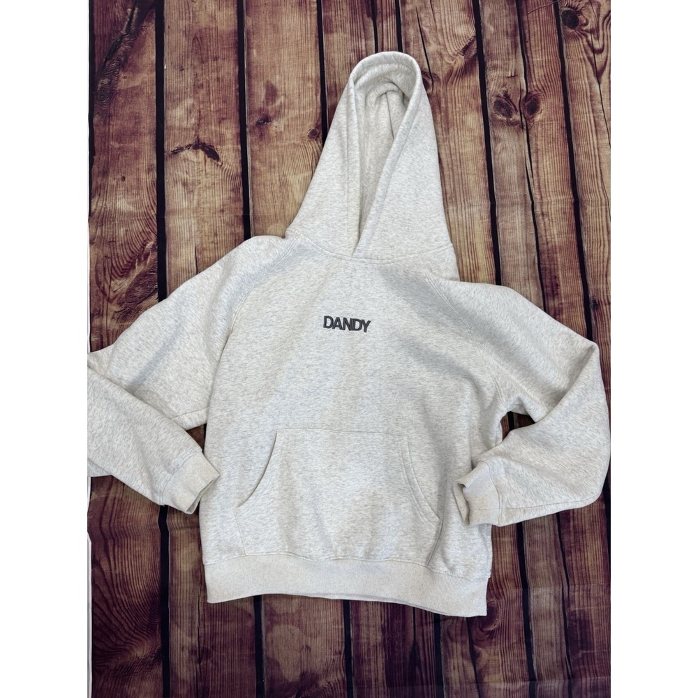 Dandy Worldwide Men's Gray Pullover Hoodie Logo Graphic Hooded Pockets Size S